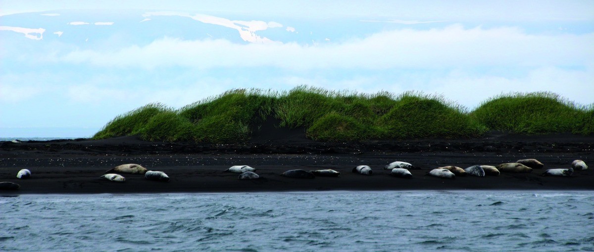 Seals