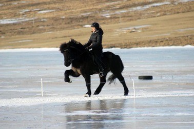 Ice Competition Svínavatn